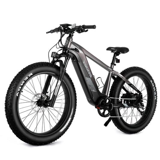 52V 750W Motor 17AH HQ eBike