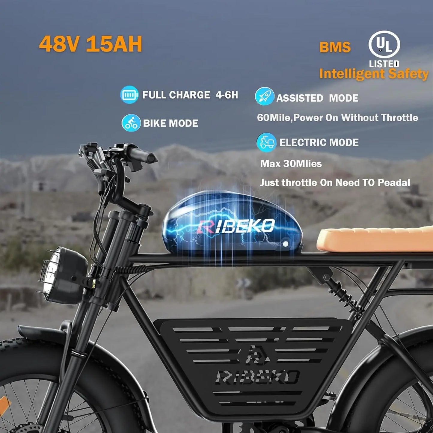 CT20Pro Electric Bike