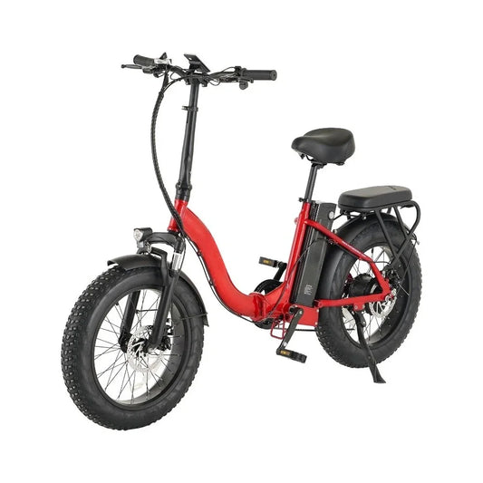 Lithium Removable Folding Electric Bike