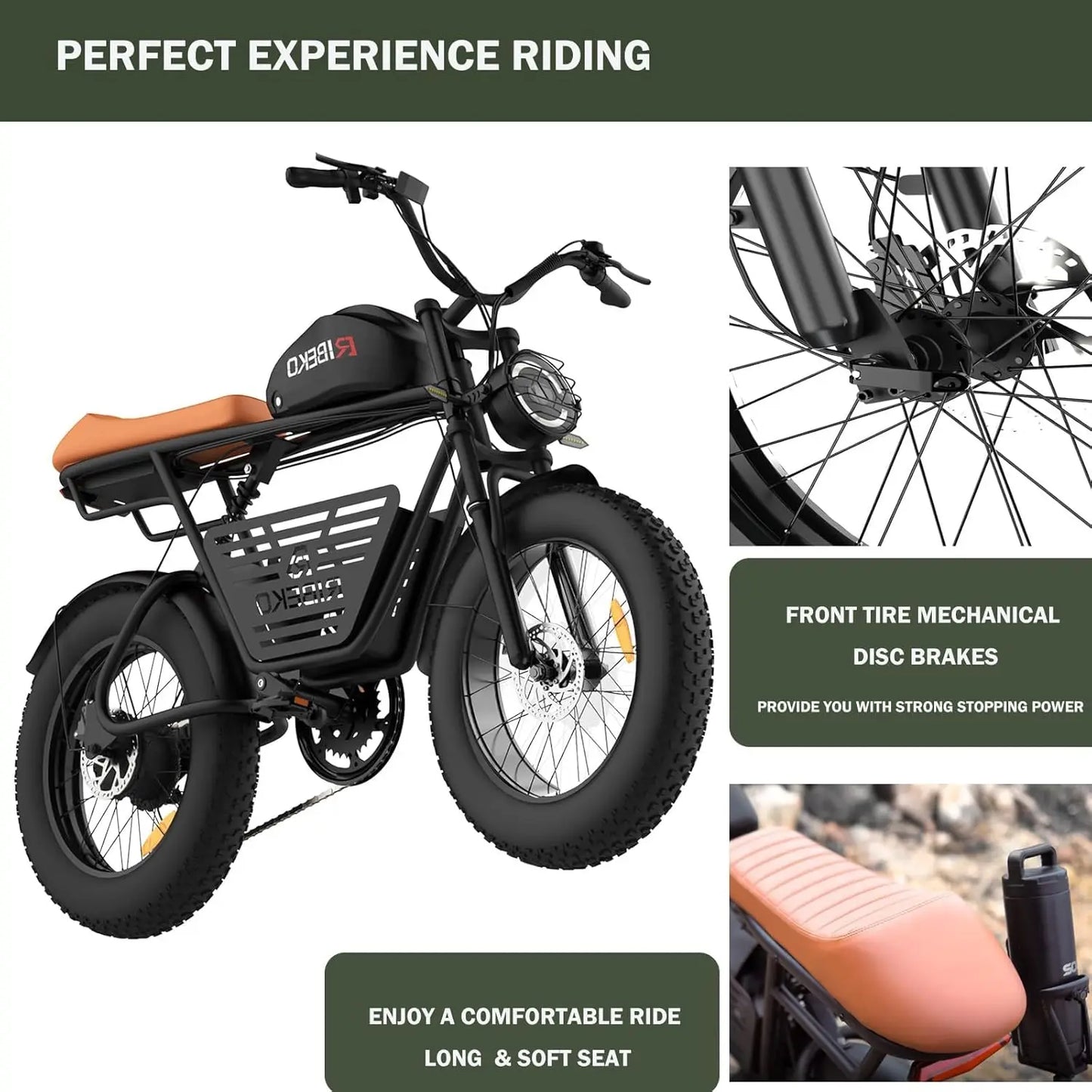 CT20Pro Electric Bike