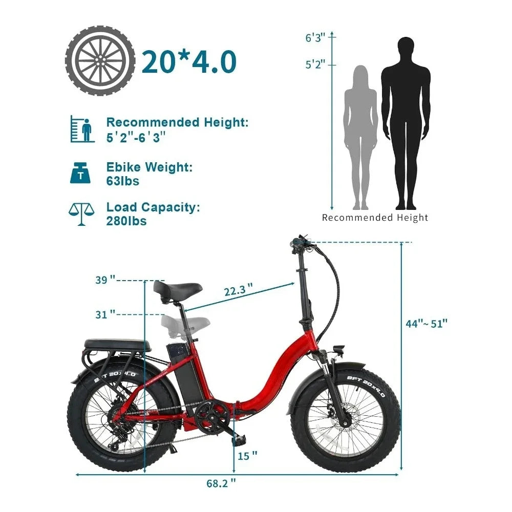 Lithium Removable Folding Electric Bike