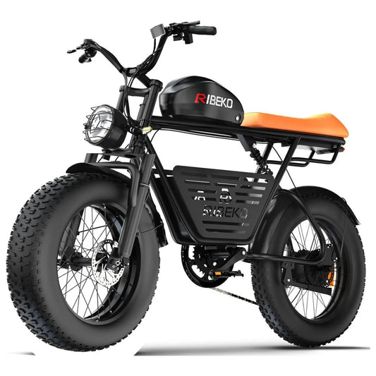 CT20Pro Electric Bike