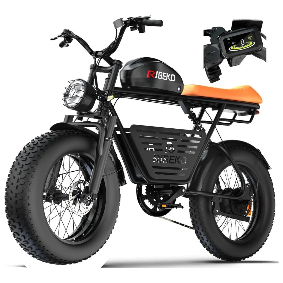 CT20Pro Electric Bike