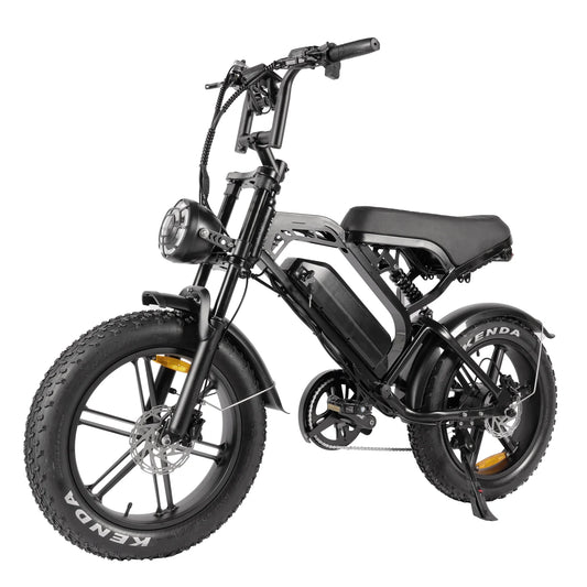 750w Drive Motor Electric Bikes